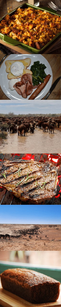 ANNA CREEK STATION COOK SIDE IMAGE.png