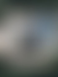 Gi en opplevelse til jul!