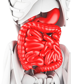saiba-como-tratar-as-doencas-intestinais.jpg