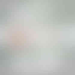 Materialkit Light Salbei