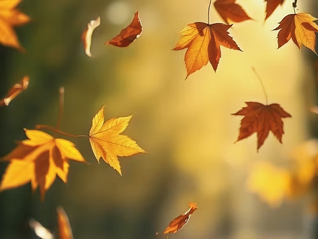 The Season of Letting Go: Making Peace with What You’ve Outgrown