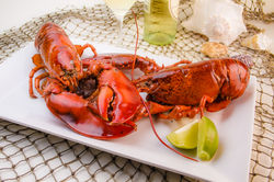 Professional Food Photography