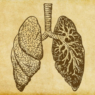 APARATO RESPIRATORIO