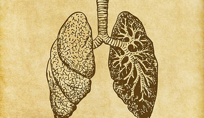 grafische Darstellung der zwei Lungenflügel
