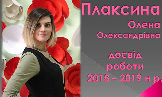 3 Презентация18-19 плаксина.jpg