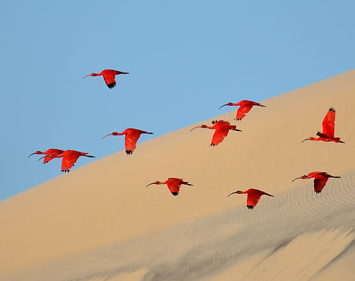 Documenting wildlife 2022