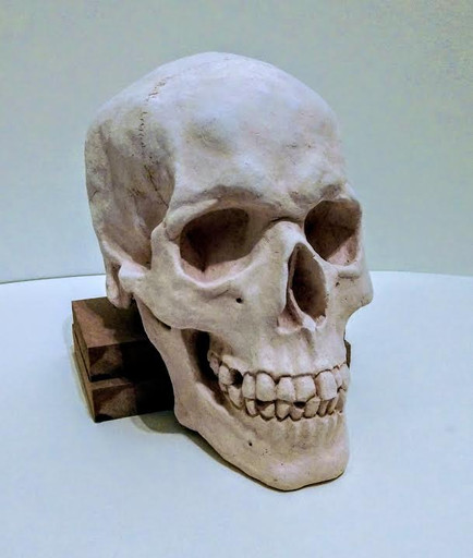 bisqueware stage of ceramic skull