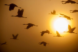 From the Sun to the Universe