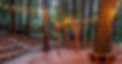 img_20190808_1557-HDR-Pano-T-4.jpg