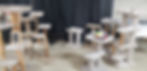 Elma Cat Show 