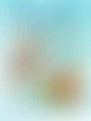 alphabet colour, cut and stick activity book for children aged 4-5