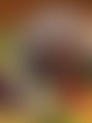 10 Continuous Provision Ideas for an Awesome Autumn