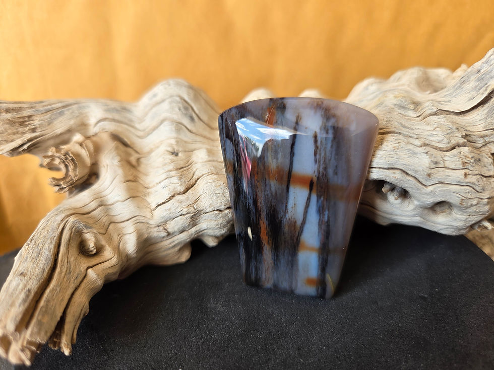 LL CR12 Petrified Wood.jpg