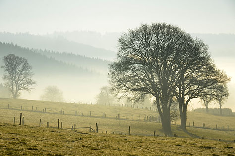 Ardennes séjour amoureux romantique détente insolite