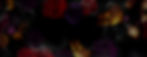 roses-bg_edited.jpg