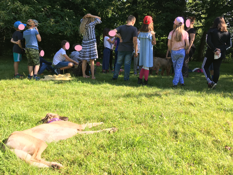 Chillen auf der Obstwiese