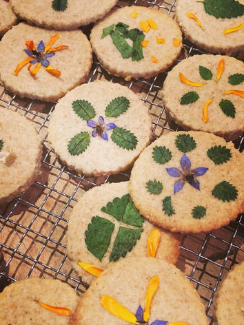 Cuisiner avec les plantes sauvages lors d’un atelier gourmand et convivial ! Balade cueillette, reconnaissance des plantes et recettes créatives pour intégrer facilement ces trésors naturels à votre cuisine.