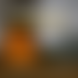 🔥 Fire Resistance of Steel Structures vs Wooden Homes – What You Need to Know