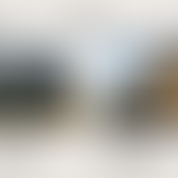 Container Homes vs Prefab Modular Homes – Which Is Better?