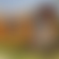 Loom Crafts Prefab Experience Center in Hyderabad – Explore Modular Homes & Cottages