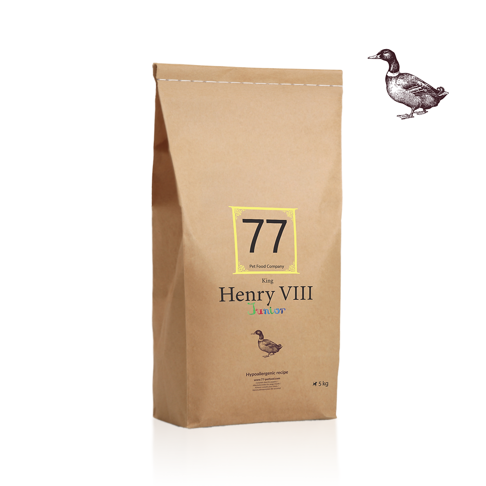 Miniature : Junior Henry VIII au canard
