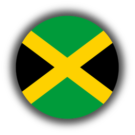 Jamaica oficina para techos sinteticos en palma sintetica