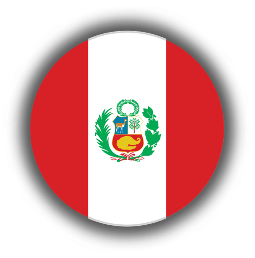 perú oficina grupo palmadera palma sintetica
