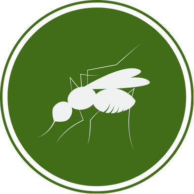 6.png