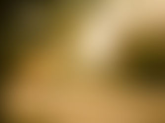 The Biscuit and Gravy Capital of the World