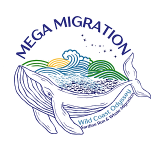 MEGA MIGRATIONS LOGO COLOR.png