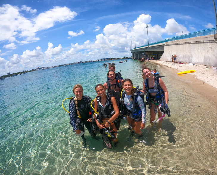 women bridge dive.jpg