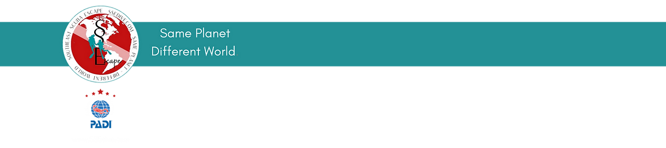 header for webpage.png