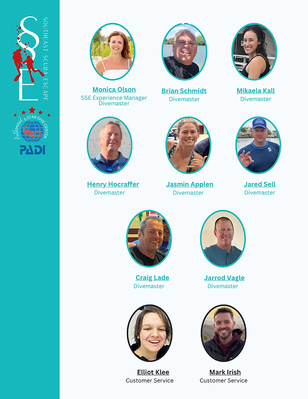 Our Pro Team Staff DMS.png