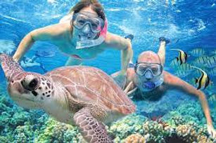 discover snorkeling.jpeg