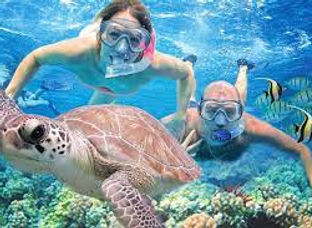 discover snorkeling.jpeg