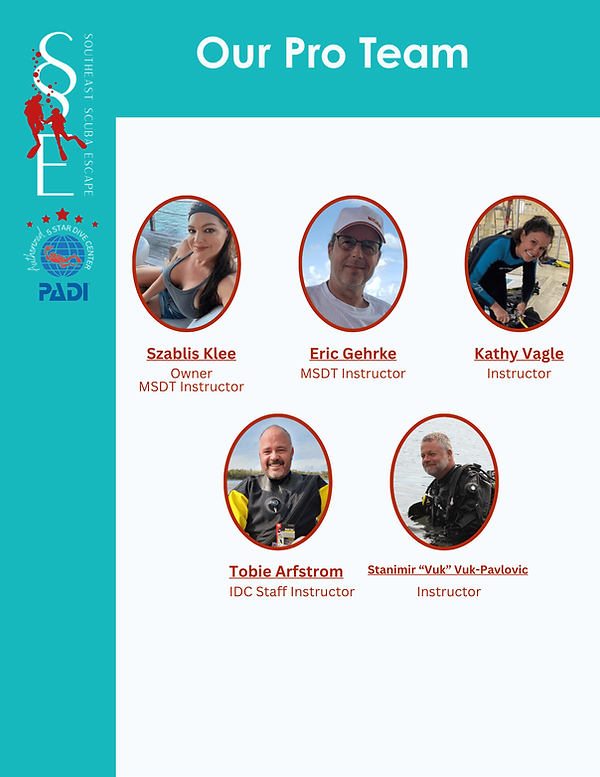 Our Pro Team Instructors.png