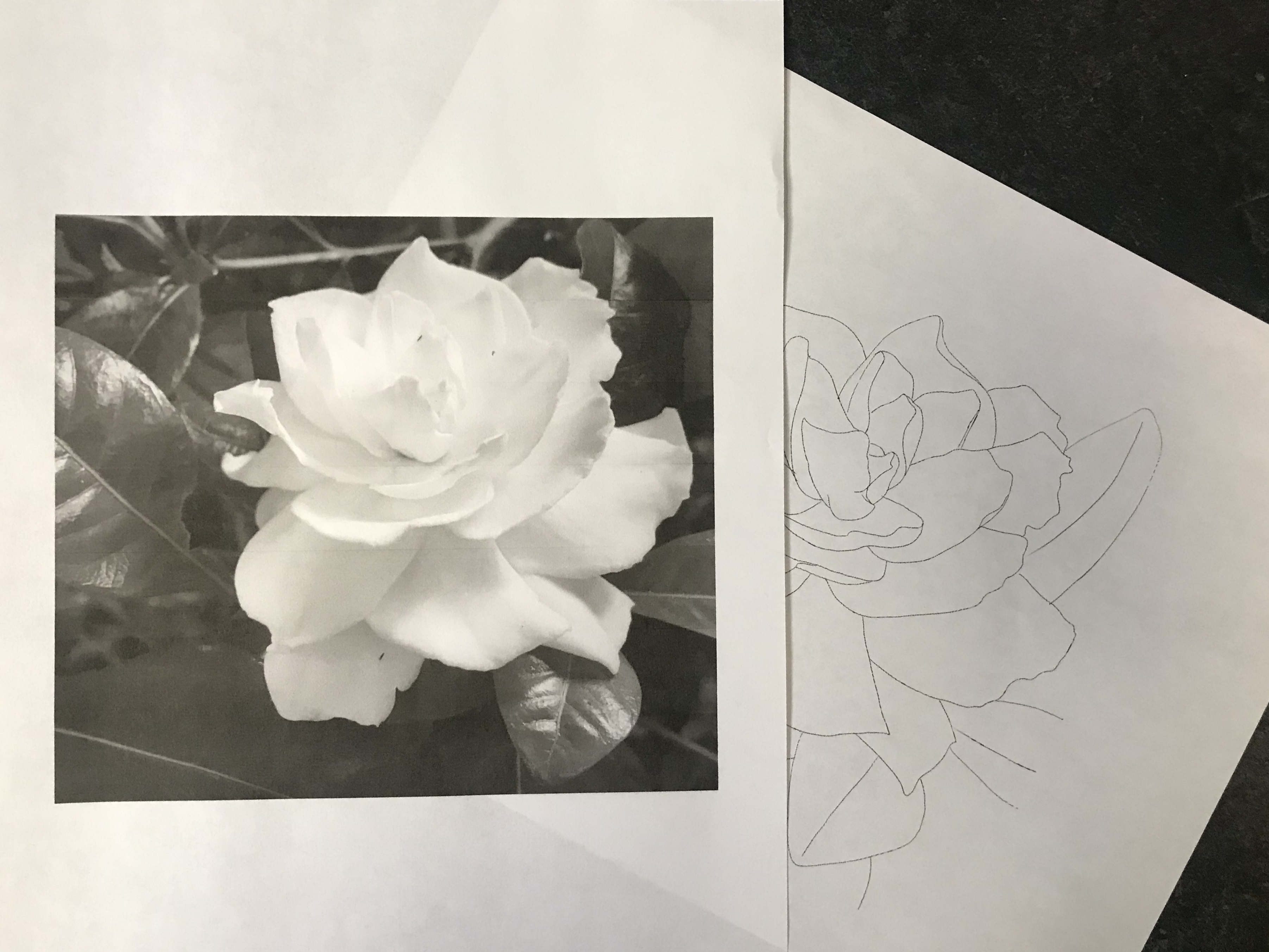 lallen_tattoo - Gardenia 6
