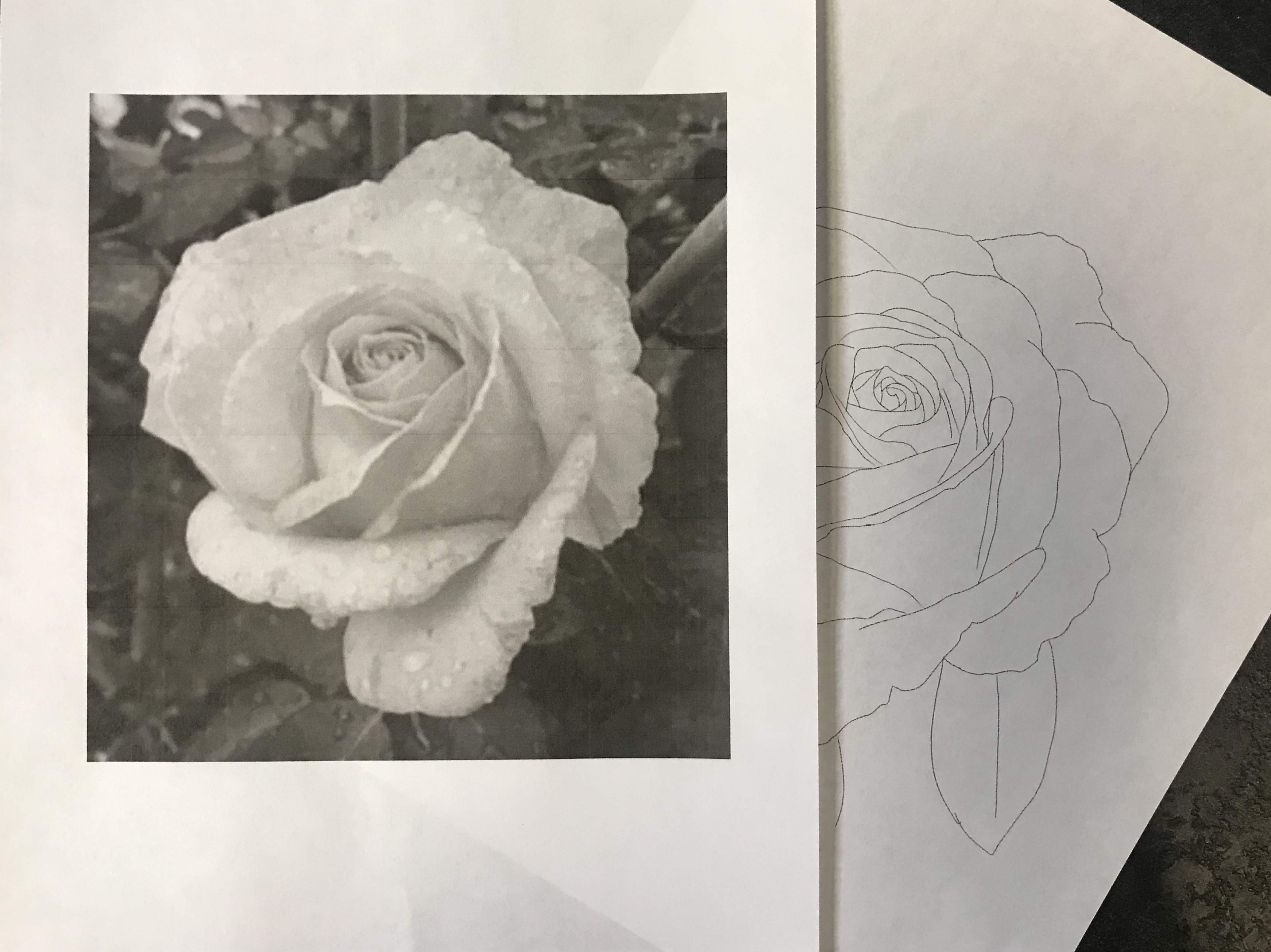 lallen_tattoo - Rose 2