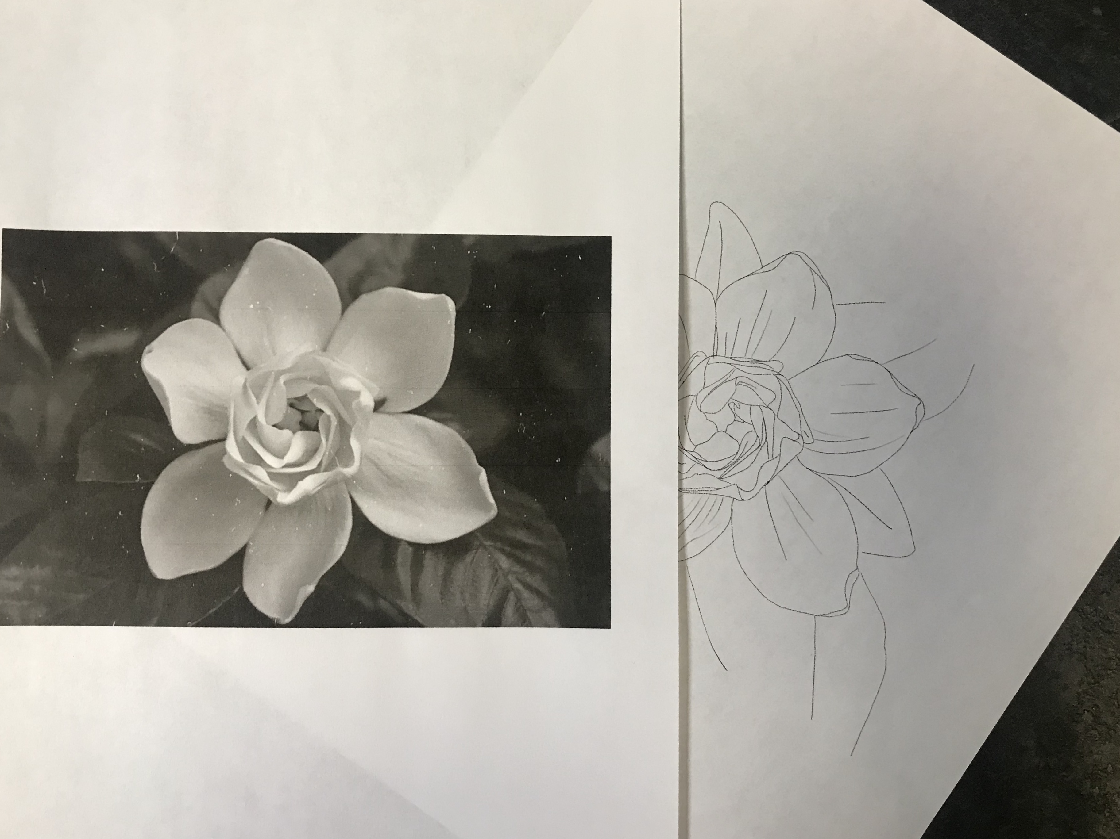 lallen_tattoo - Gardenia 1
