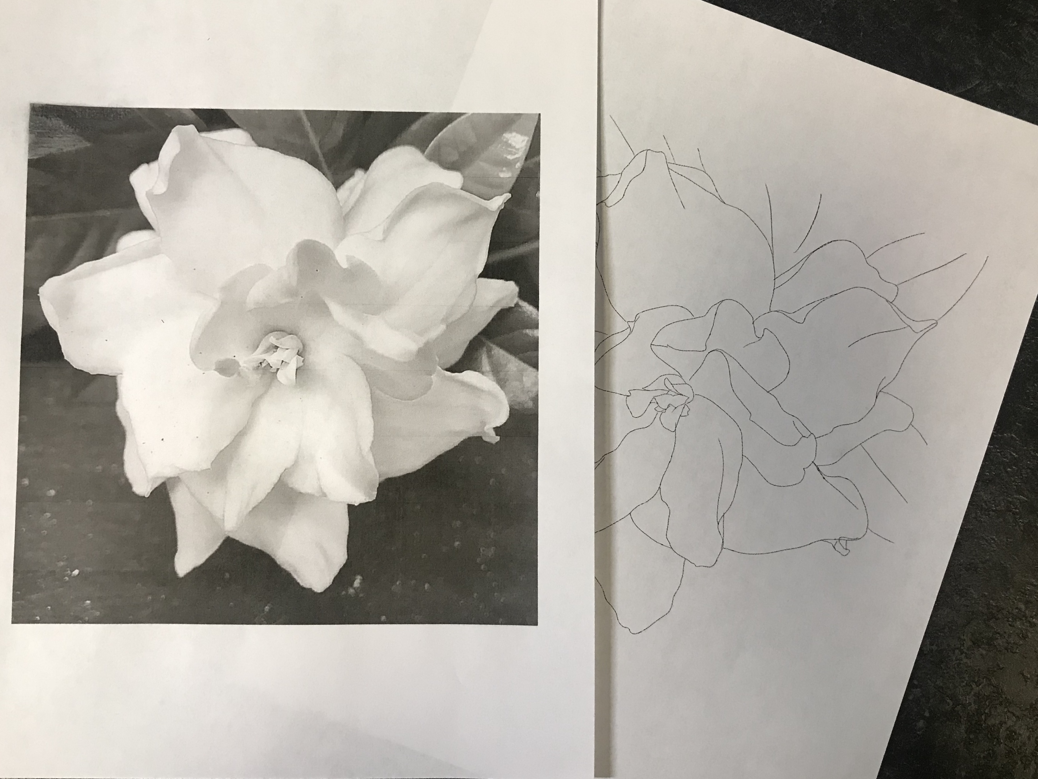 lallen_tattoo - Gardenia 2