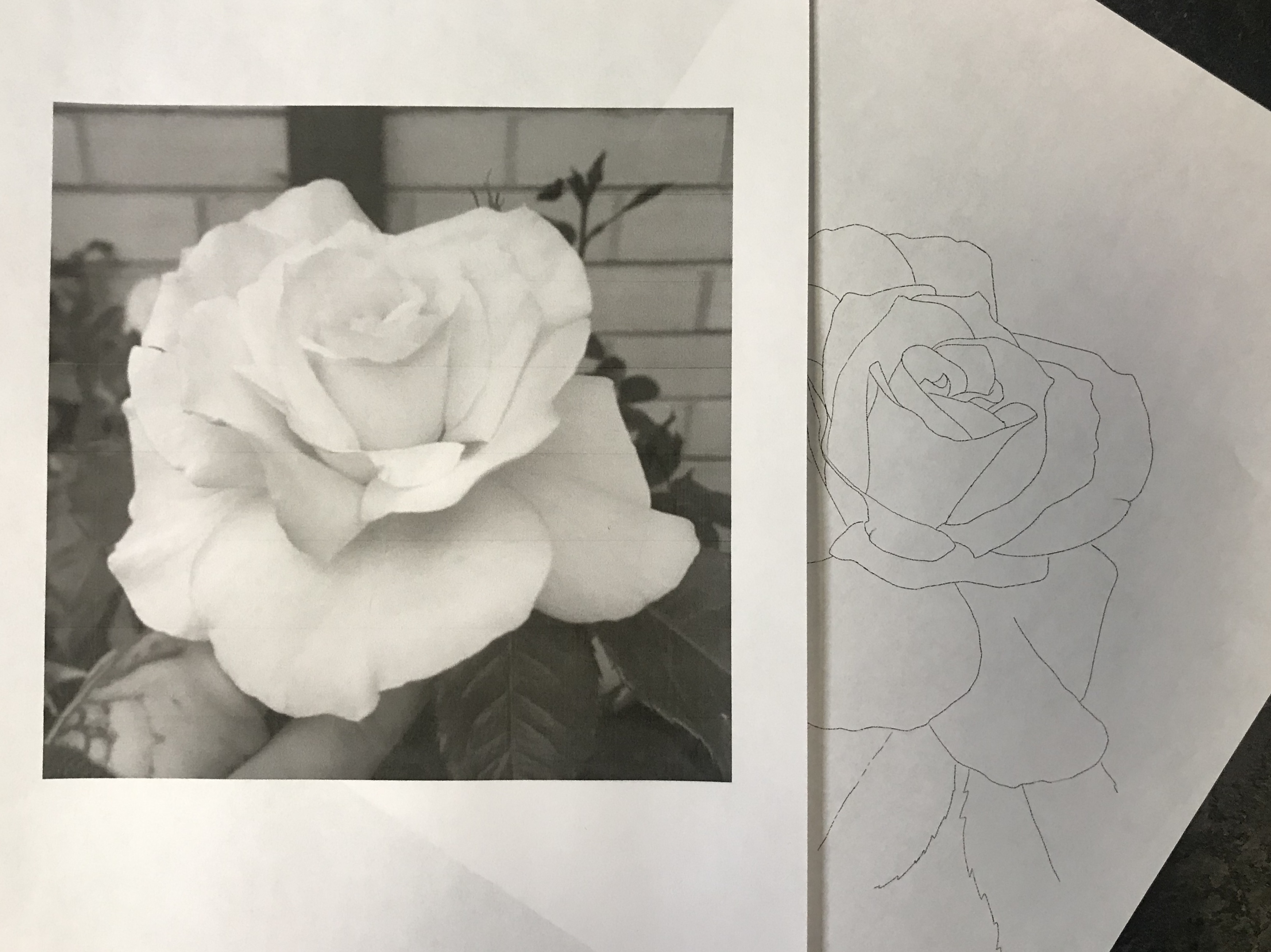 lallen_tattoo - Rose 3