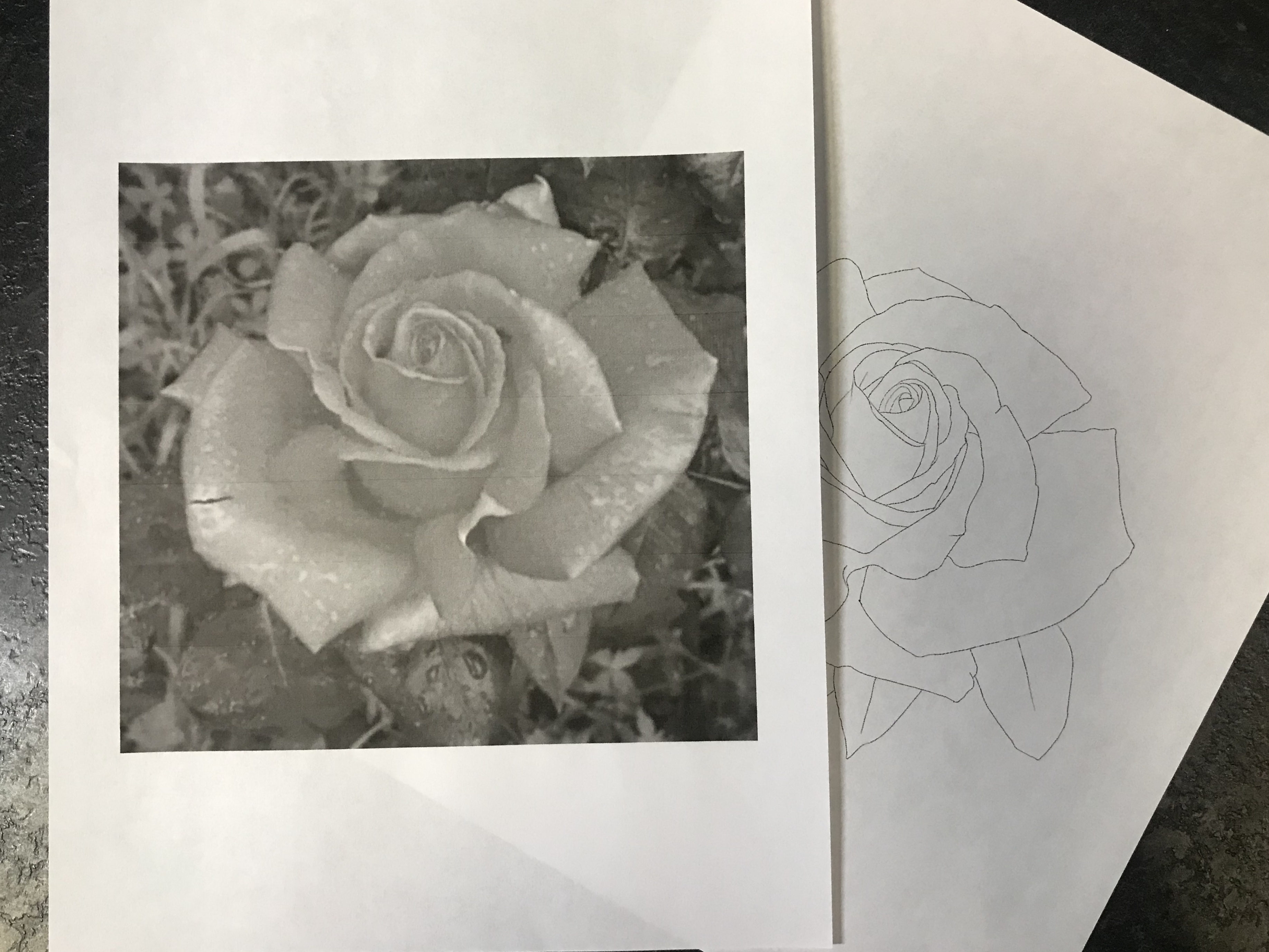 lallen_tattoo - Rose 5