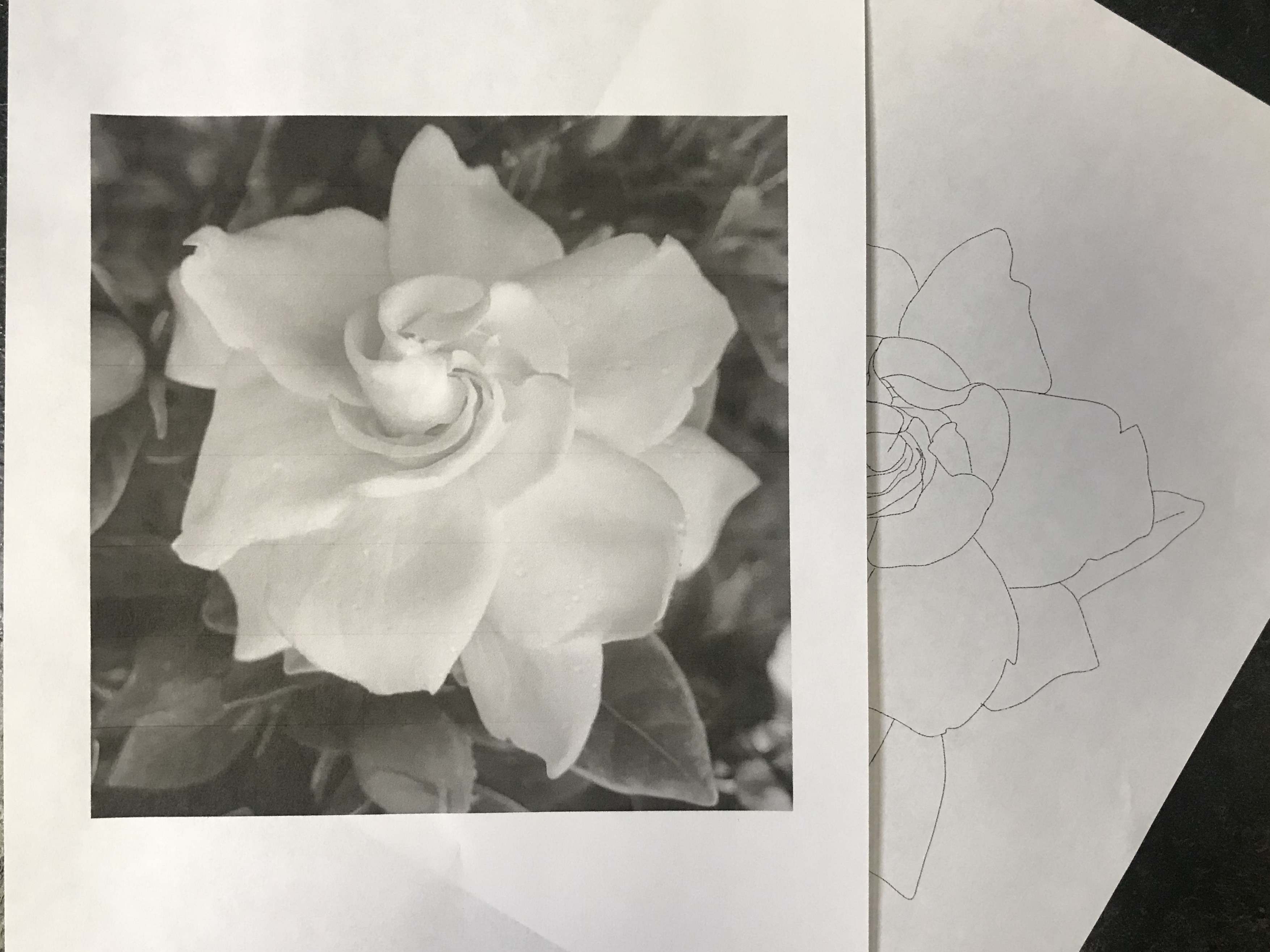lallen_tattoo - Gardenia 7