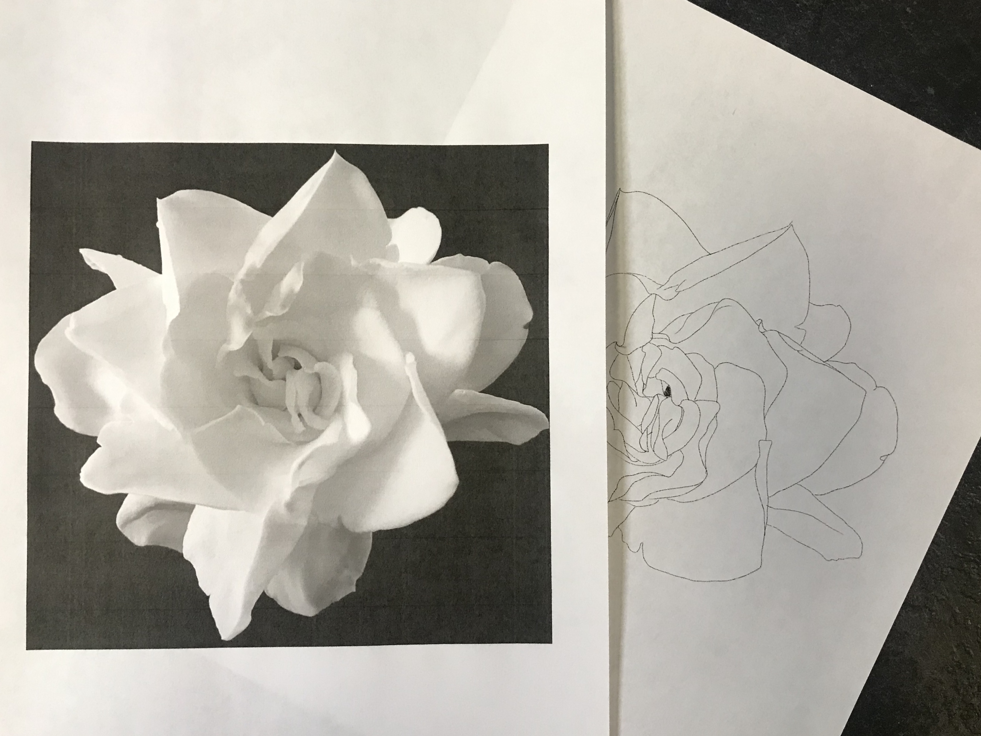lallen_tattoo - Gardenia 10