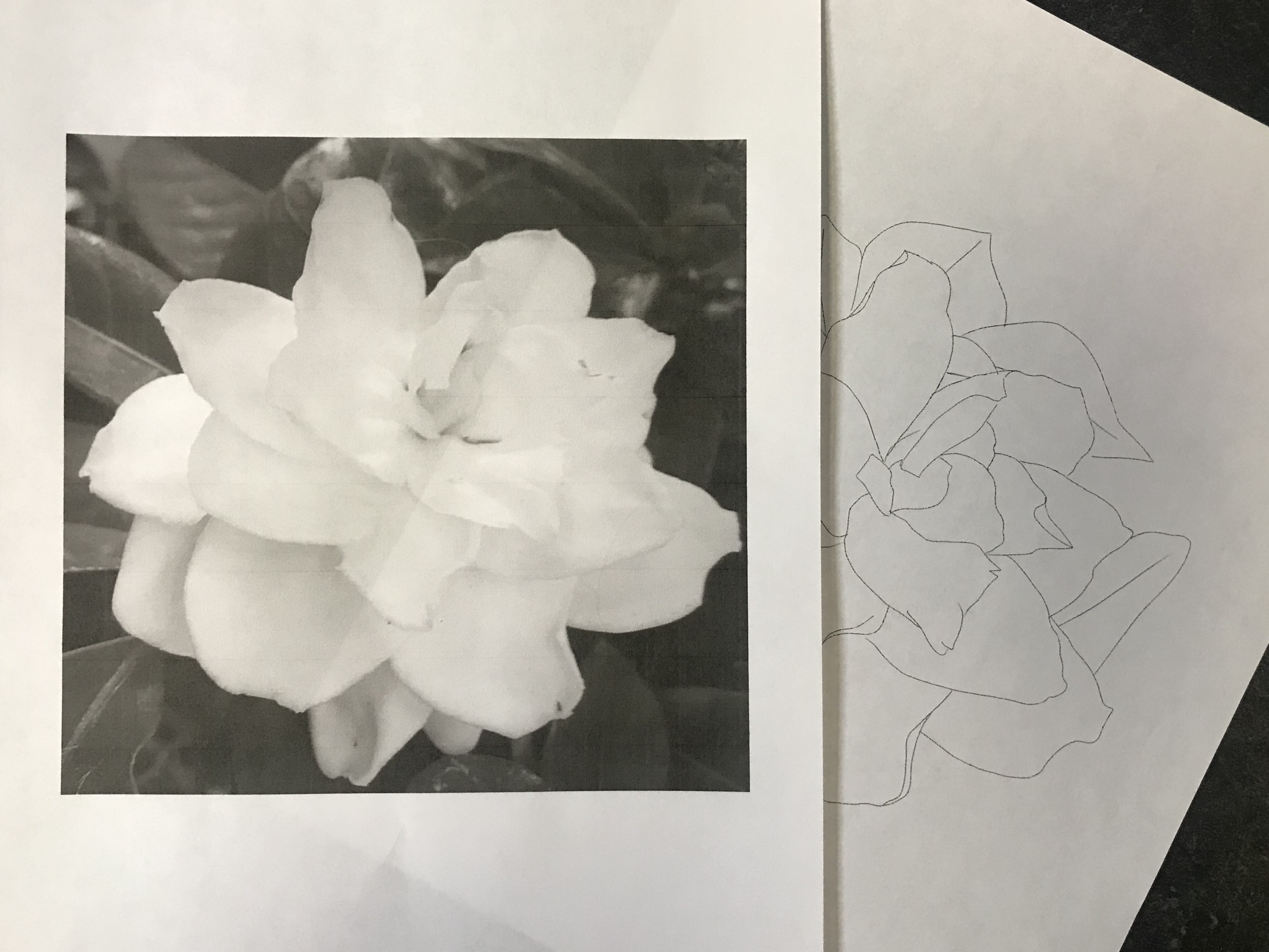 lallen_tattoo - Gardenia 8