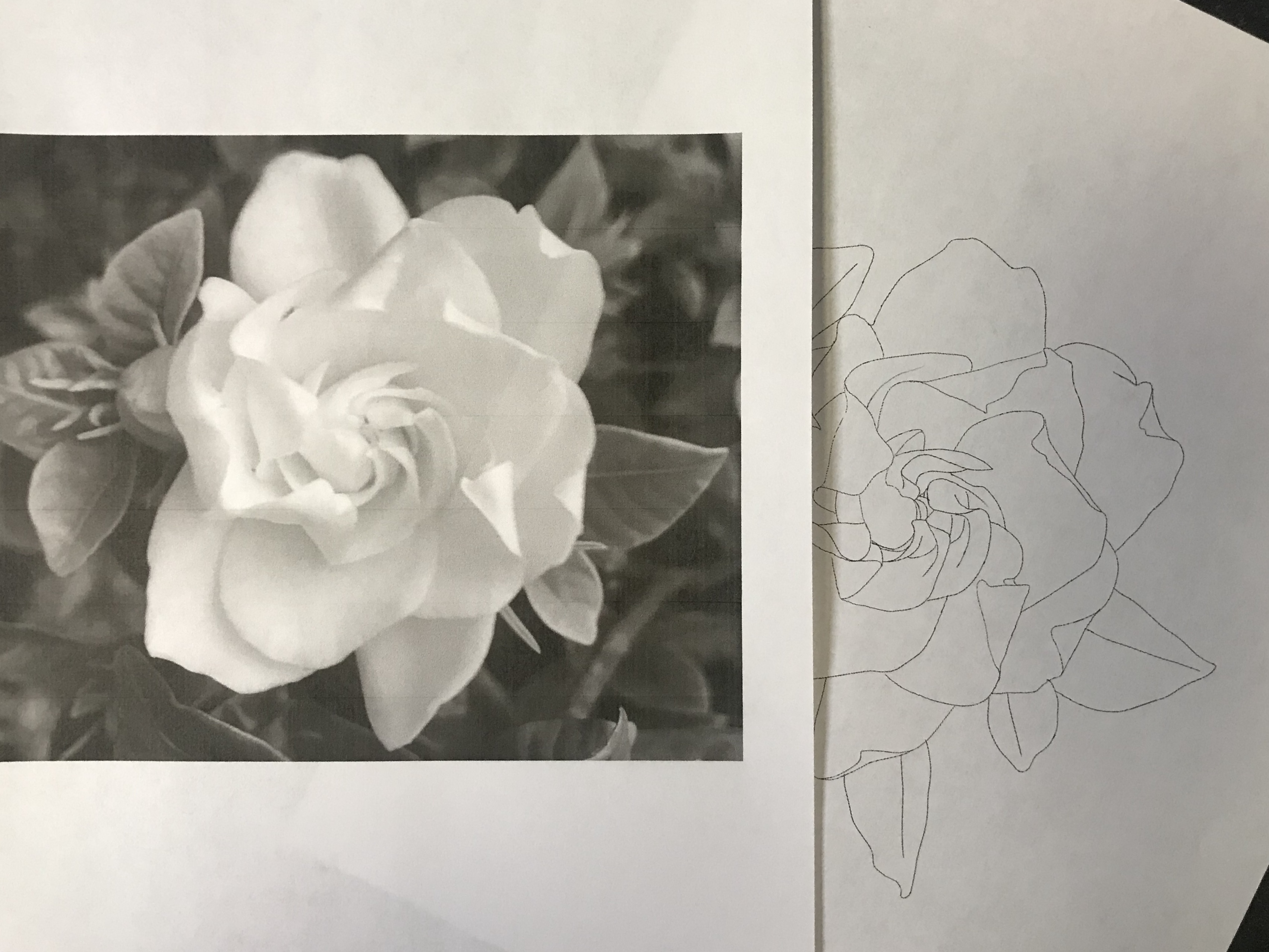 lallen_tattoo - Gardenia 4