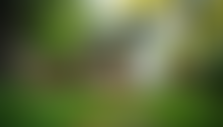 Tiny Homes Illinois: Your Ultimate Guide to Cozy Living!