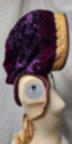 Thumbnail: Purple and orange Hooded Collar