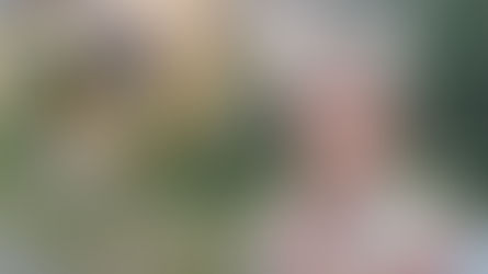 Dagens gjest på Radio Toten