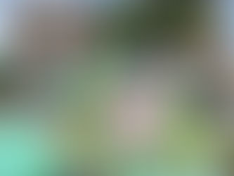 Streetart in Griechenland